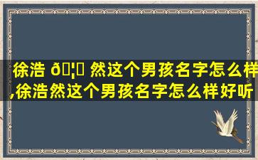徐浩 🦆 然这个男孩名字怎么样,徐浩然这个男孩名字怎么样好听吗 🦢